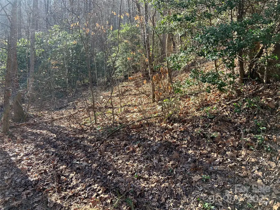 TR 6 Little Bit Trail, Whittier, NC 28789 - Image #2
