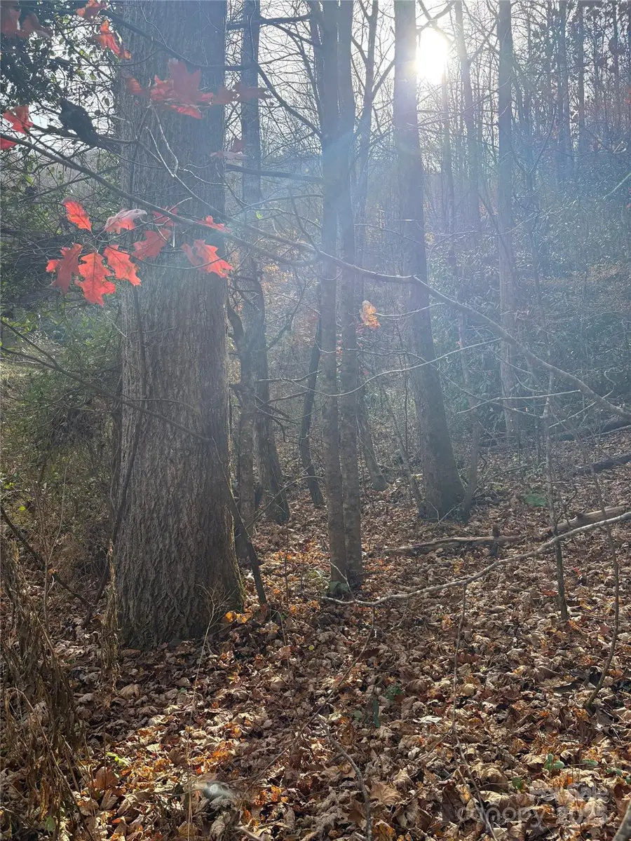 TR 6 Little Bit Trail, Whittier, NC 28789 - Image #3