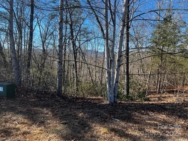 Lot 37 N Mountain Lane, Mill Spring, NC 28756 - Image #1