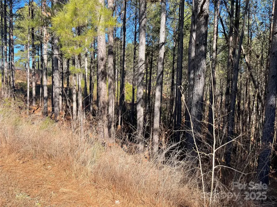 109 Shortoff Trail, Drexel Township, NC 28655 - Image #3