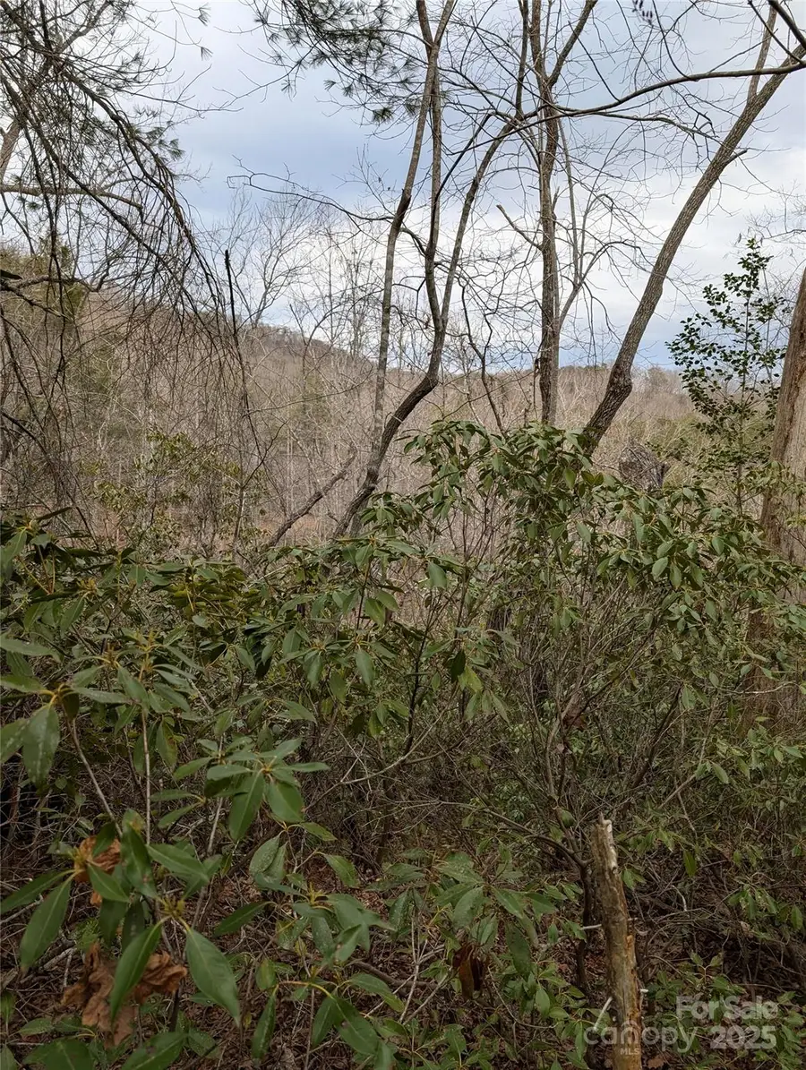 0 SE Old Crows Drive #L389, L390, Lake Lure, NC 28746 - Image #2