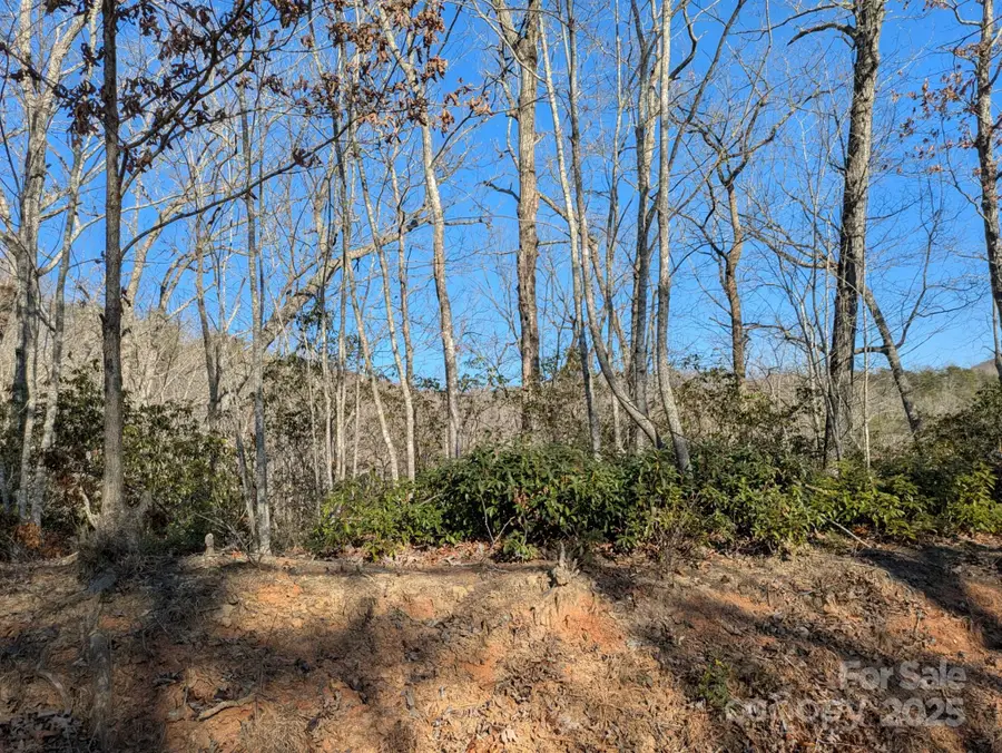 0 SE Old Crows Drive #L389, L390, Lake Lure, NC 28746 - Image #3