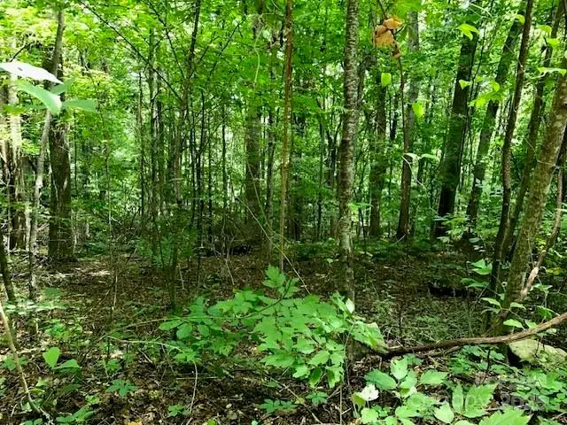 00 Red Oak Lane N #Lot 24, Burnsville, NC 28714 - Image #3