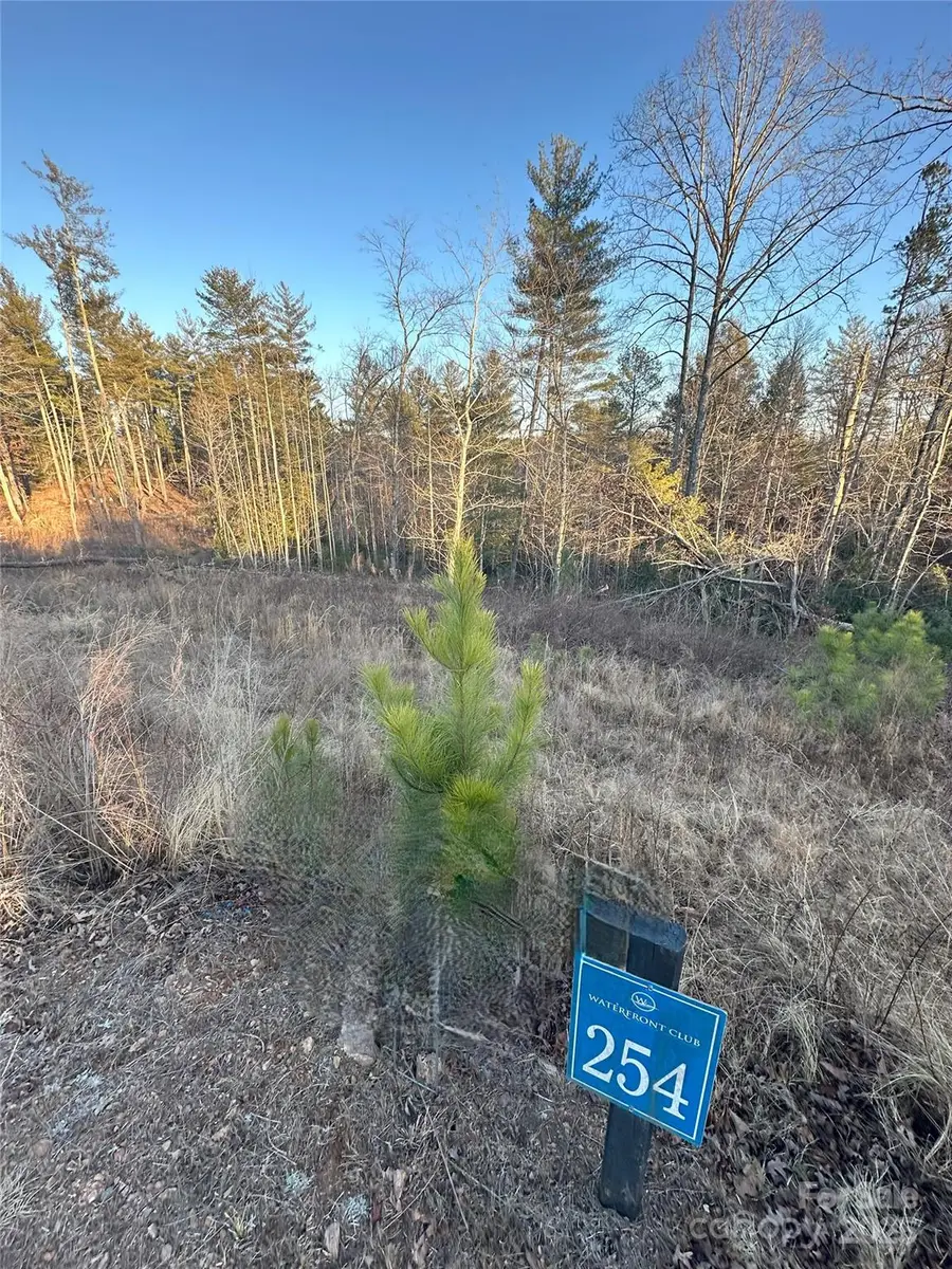 1631 & TBD Scenic Lane #253/254, Granite Falls, NC 28630 - Image #3