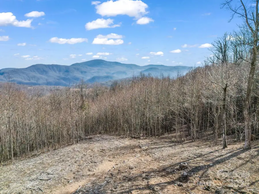 1233 Grand Oaks Drive, Hendersonville, NC 28792 - Image #2