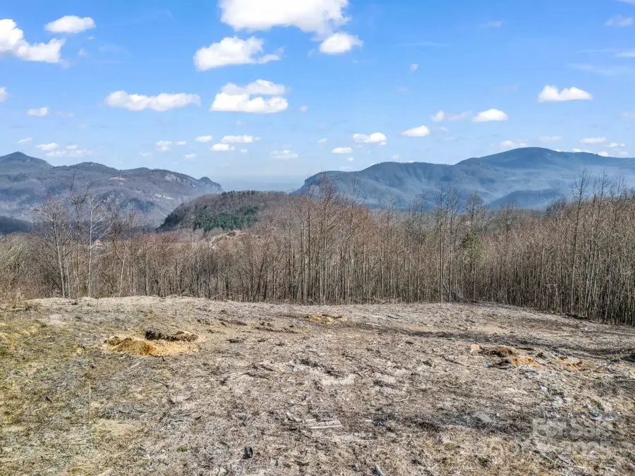 1233 Grand Oaks Drive, Hendersonville, NC 28792 - Image #3