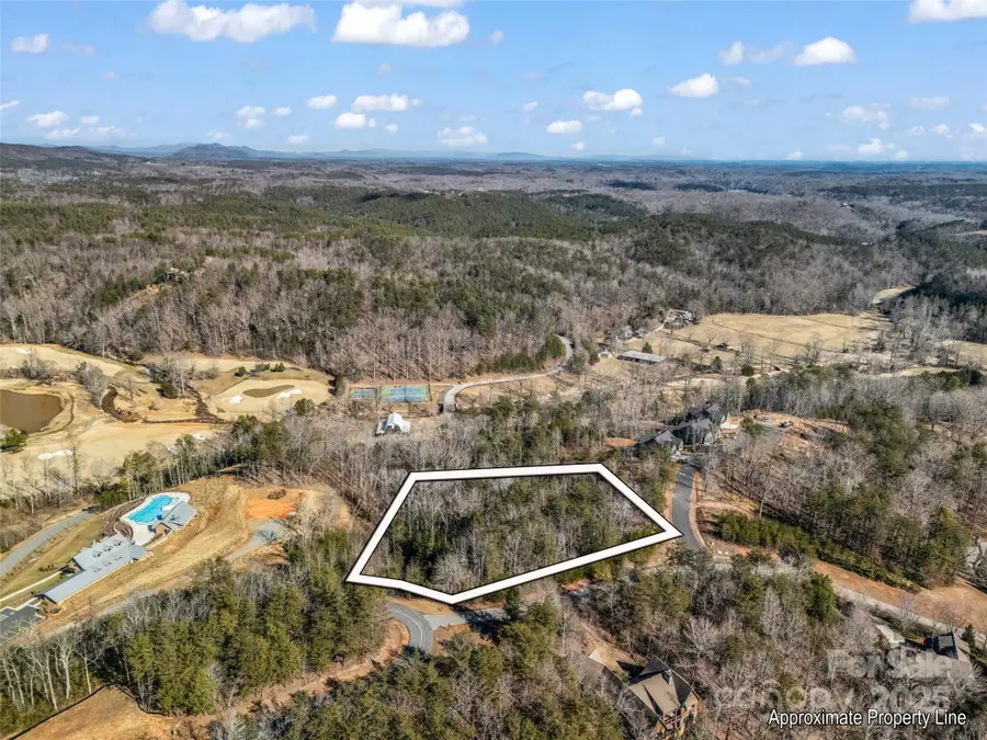 2002 Deep Gap Farm Road E, Mill Spring, NC 28756 - Image #3