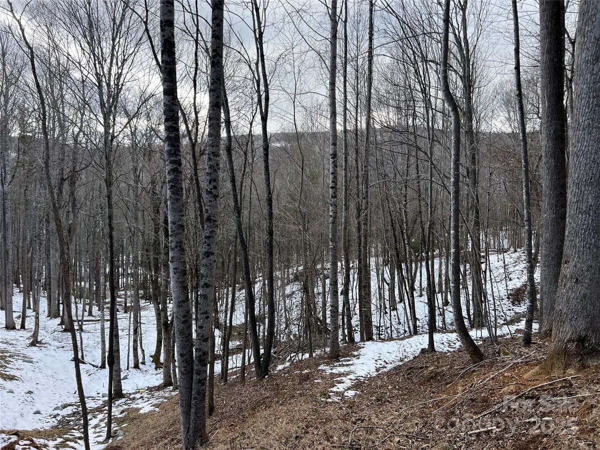 TBD (Lot 3) Poplar Forest Drive, Boone, NC 28607 - Image #1