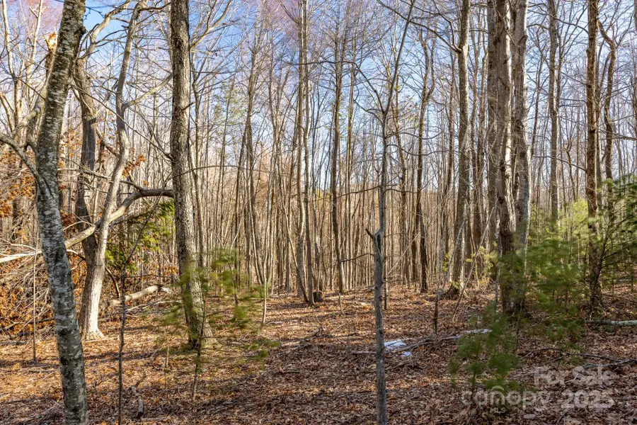 TBD Highway 221 Road, Jefferson, NC 28640 - Image #2