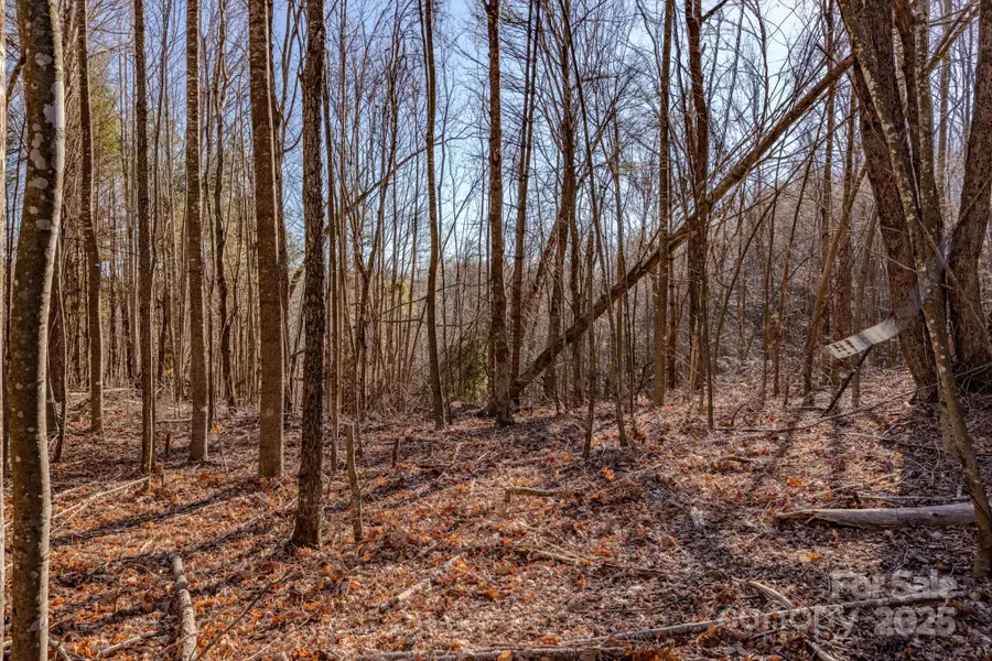 TBD Highway 221 Road, Jefferson, NC 28640 - Image #3