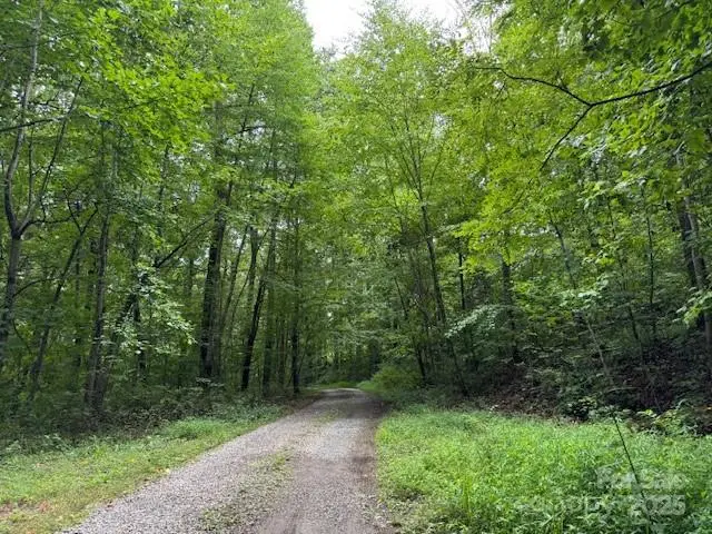 000 Orchard Mountain Road, Saluda, NC 28773 - #3