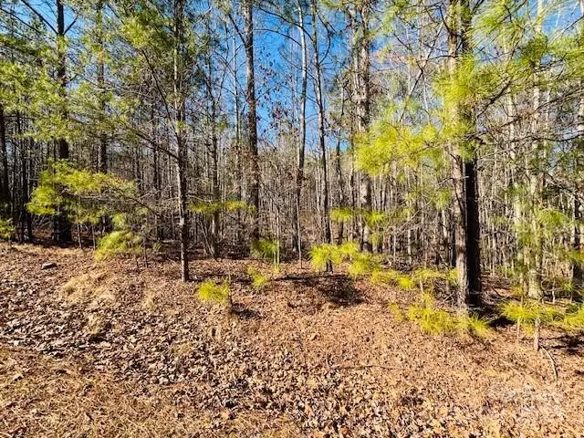 0 Creekside Circle #110, Rutherfordton, NC 28139 - Image #3