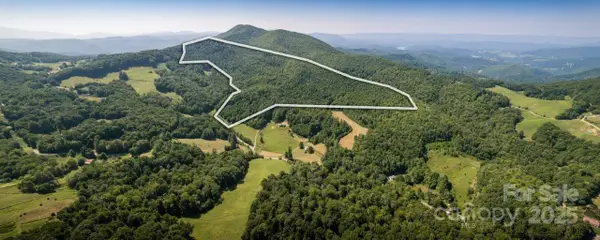 TBD Flat Springs Road, Elk Park, NC 28622