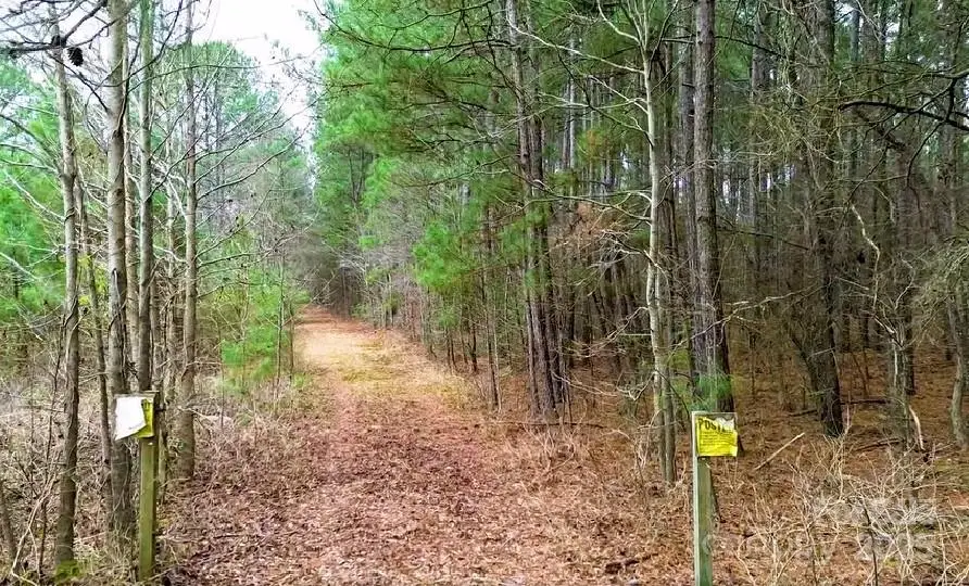 00 White Store Road, Pageland, SC 29728 - Image #1