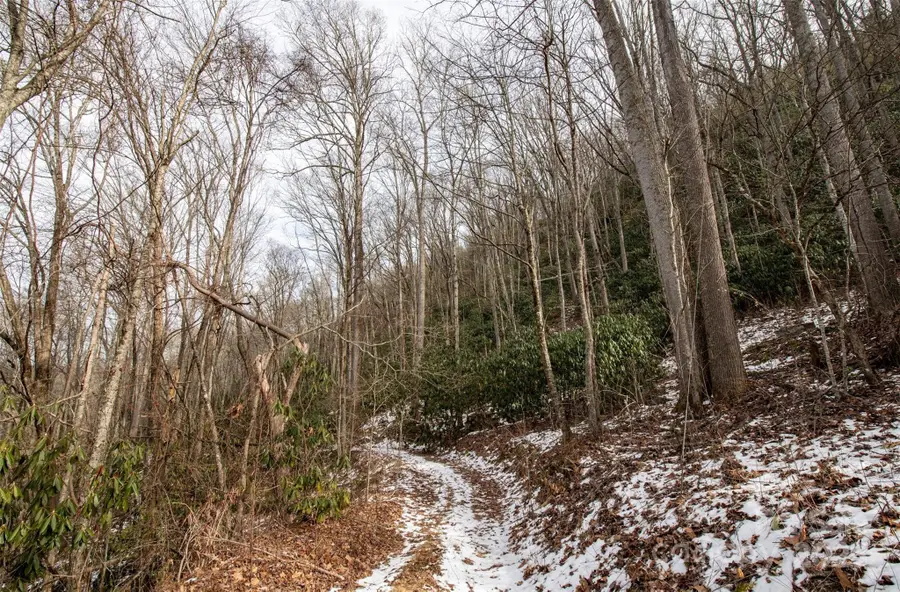 00 Lori Lane, Whittier, NC 28789 - Image #2