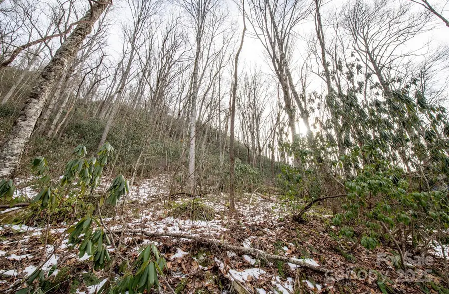 00 Lori Lane, Whittier, NC 28789 - Image #3