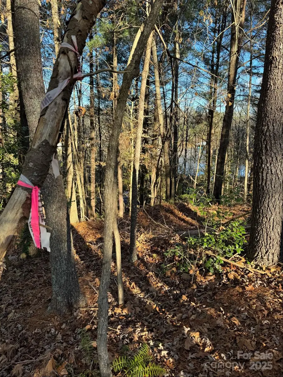 4836 Rio De Luna None, Hickory, NC 28601 - Image #3