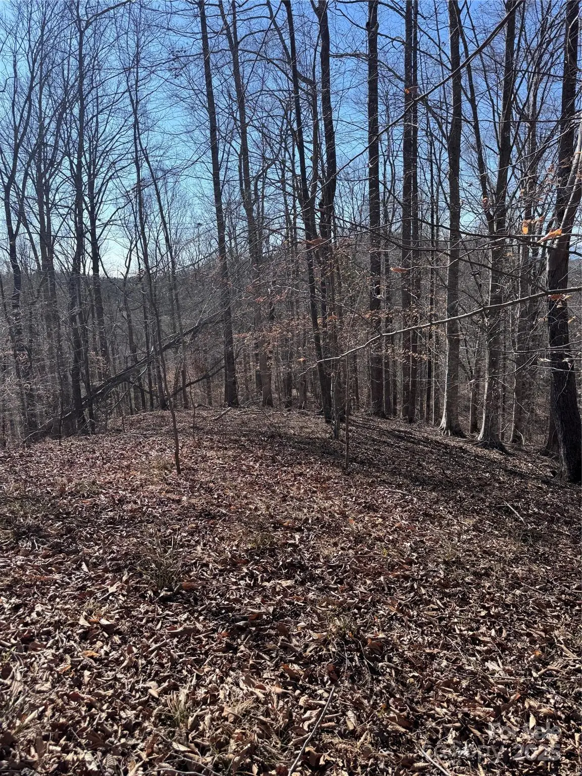 0 Cross Creek Drive #136A, Rutherfordton, NC 28139 - Image #1