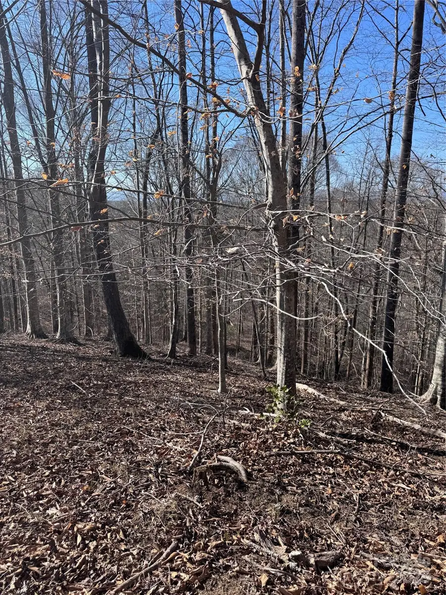 0 Cross Creek Drive #136A, Rutherfordton, NC 28139 - Image #2