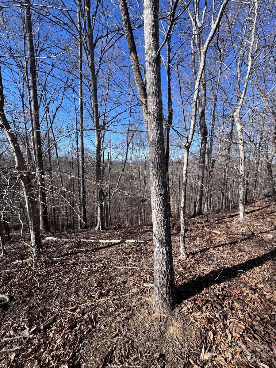 0 Cross Creek Drive #136A, Rutherfordton, NC 28139 - Image #3