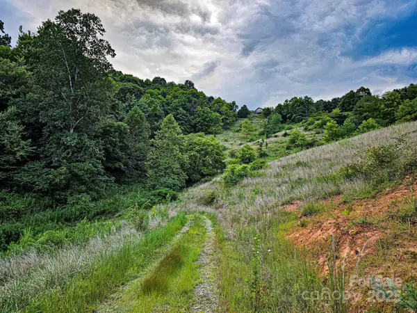 Lot 1 Murphy Cove Road, Candler, NC 28715