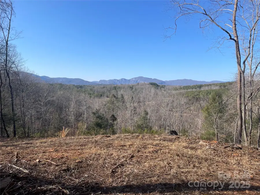 Lot 17 S Cross Creek Trail, Mill Spring, NC 28756 - Image #3
