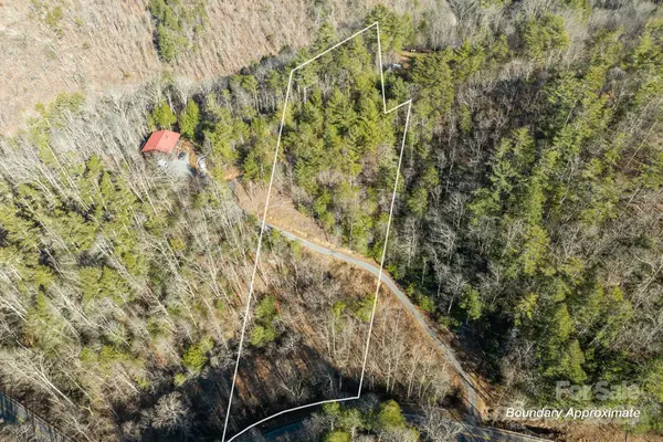 131 Ivy Bluff Road #3, Marshall, NC 28753