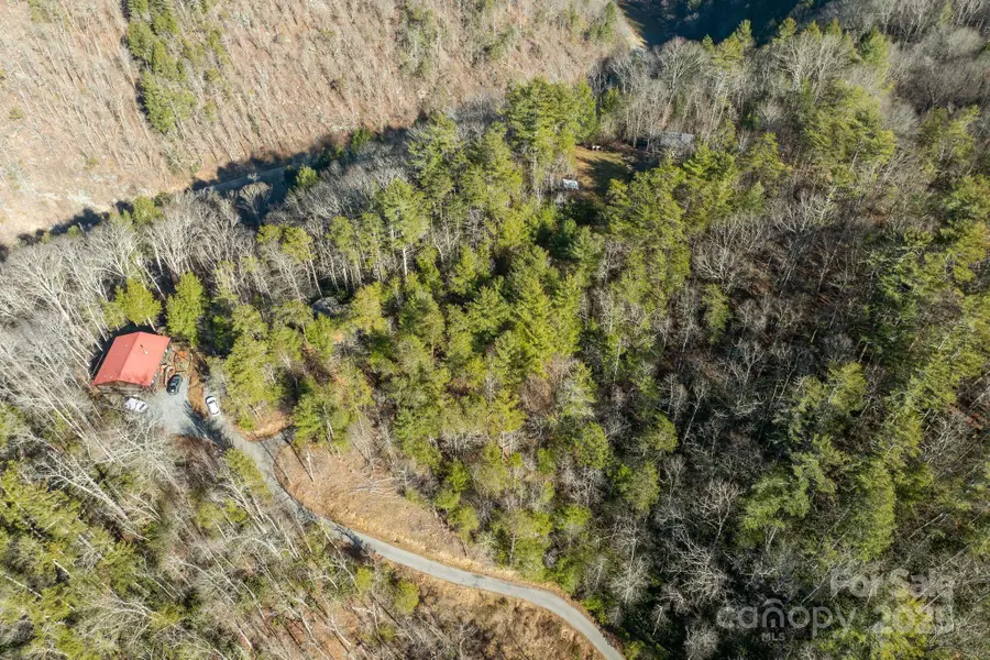 131 Ivy Bluff Road #3, Marshall, NC 28753 - Image #3