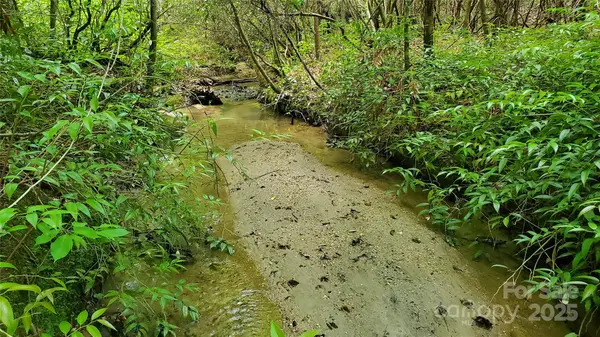 755 Hamilton Drive, Columbus, NC 28722