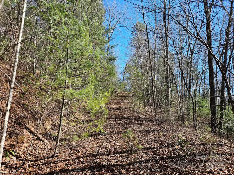 00 Wispy Willow Drive #24T, Waynesville, NC 28785 - Image #2