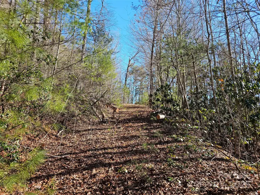 00 Wispy Willow Drive #24T, Waynesville, NC 28785 - Image #3