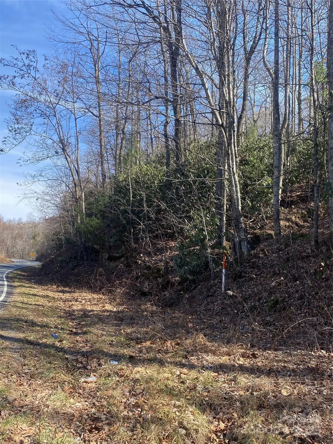 131 Eagles Eye Drive, Hendersonville, NC 28792 - Image #1