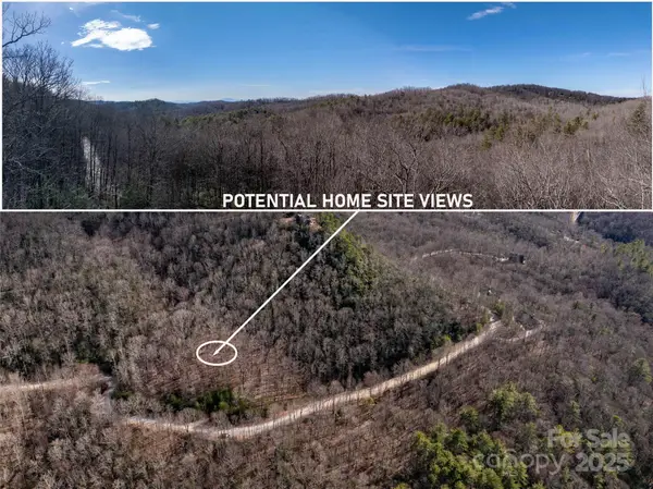 Lot 56 Big Branch Road #56A, Brevard, NC 28712