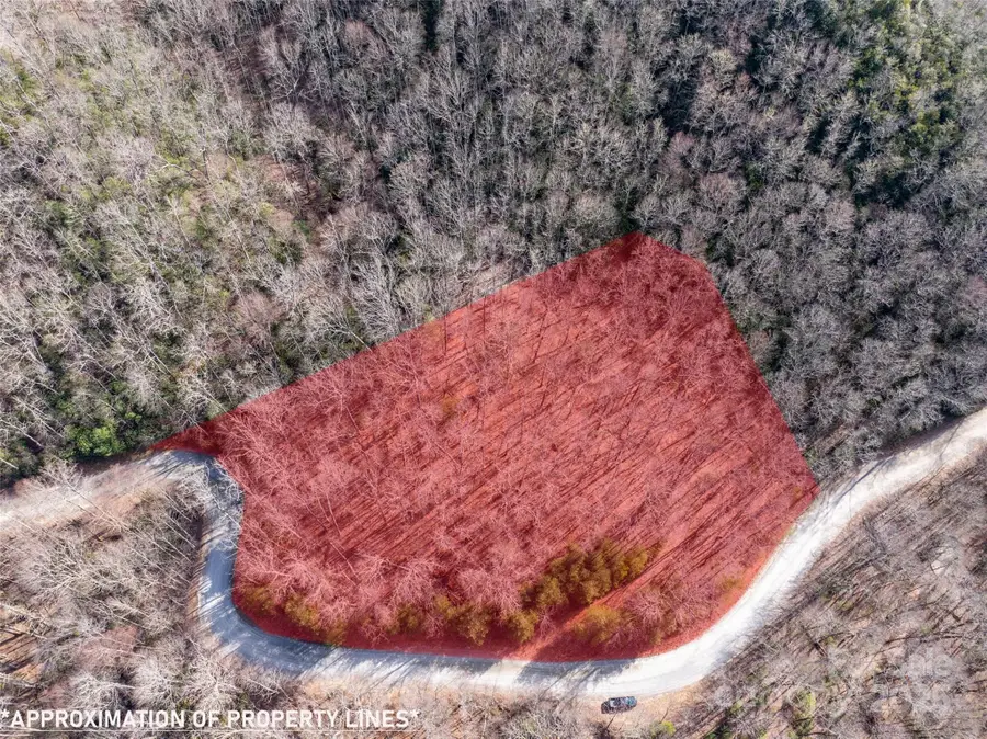Lot 56 Big Branch Road #56A, Brevard, NC 28712 - Image #2