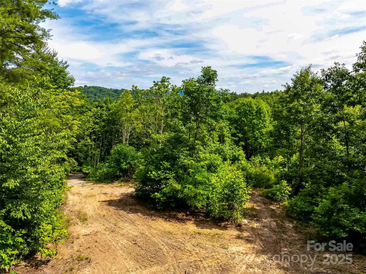 27 Fig Tree Lane #Lot 7, Asheville, NC 28803 - Image #1