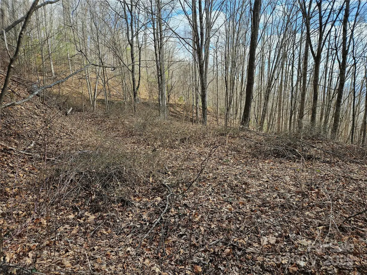 00 Wolverine Court #45, Waynesville, NC 28785 - Image #1