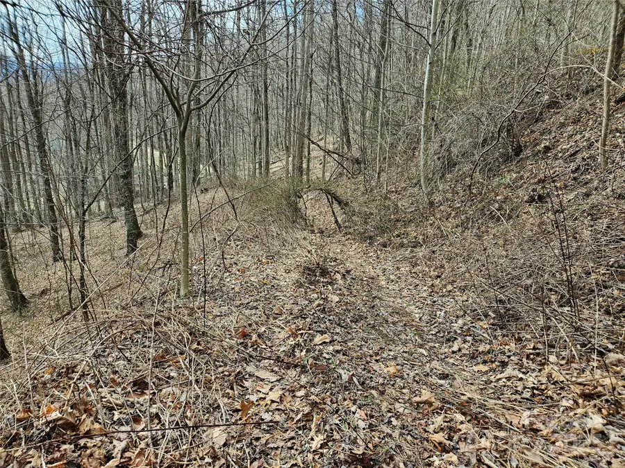 00 Wolverine Court #45, Waynesville, NC 28785 - Image #2