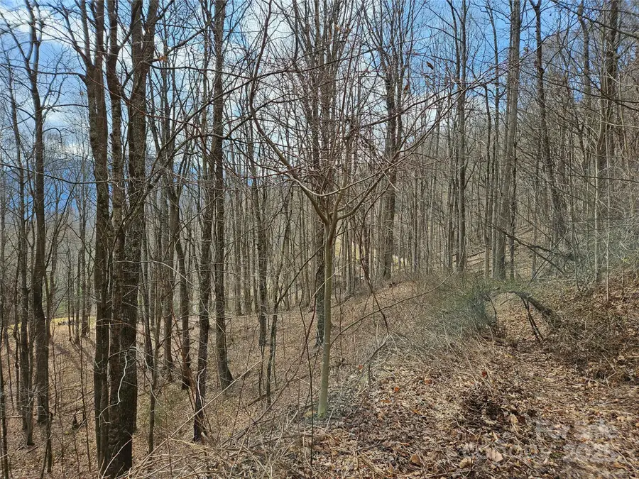 00 Wolverine Court #45, Waynesville, NC 28785 - Image #3