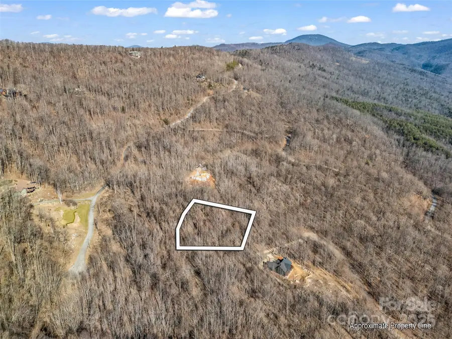 203 Cherry Hill Lane, Mill Spring, NC 28756 - Image #2