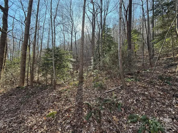 Lot 343 Bolt Road, Lake Lure, NC 28746