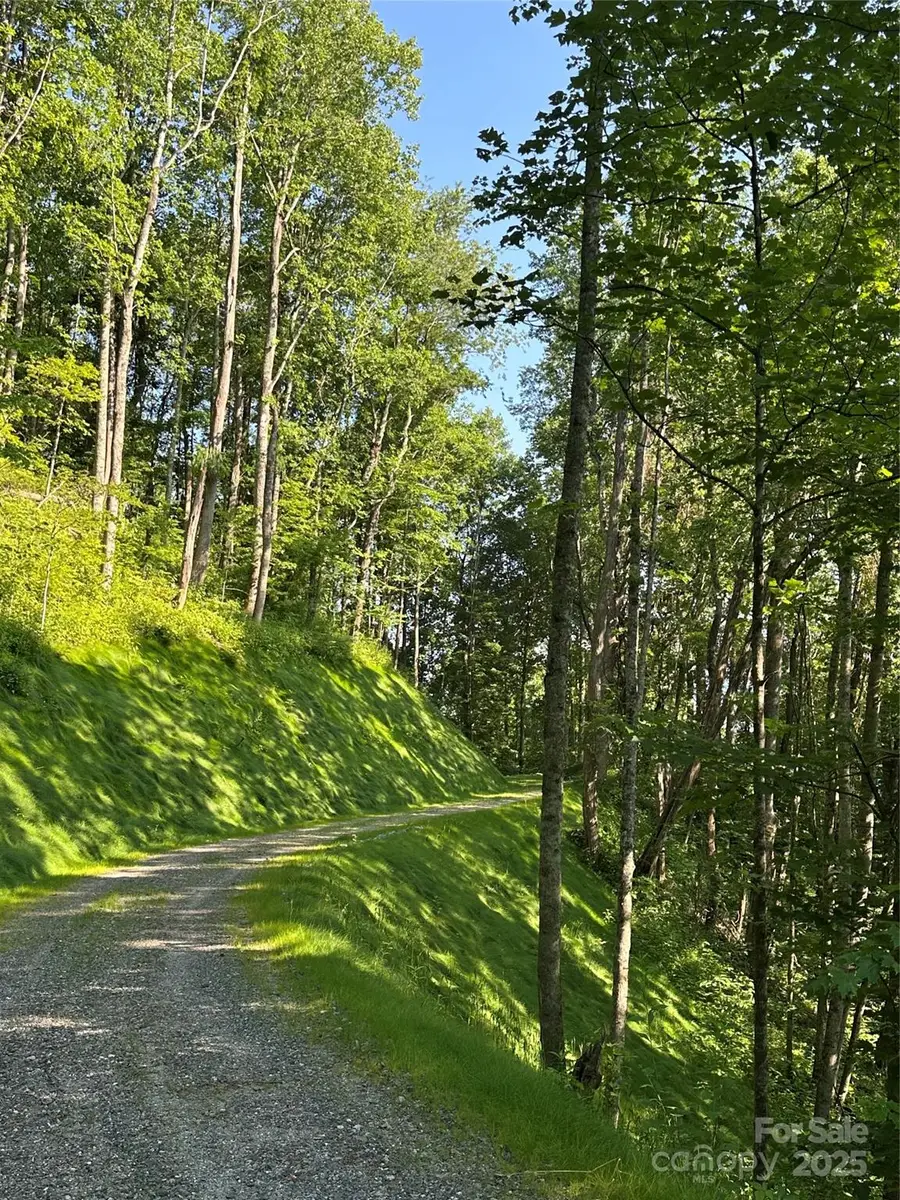 1414 Easy Wind Drive #56, Swannanoa, NC 28778 - Image #3