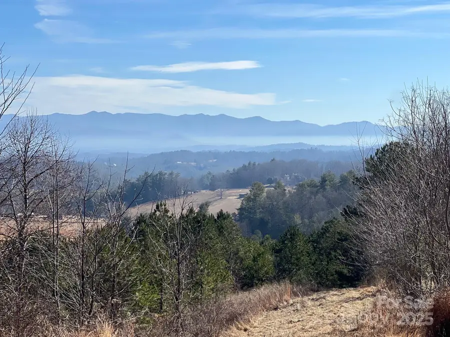 7550 Meadows Town Road, Marshall, NC 28753 - Image #2