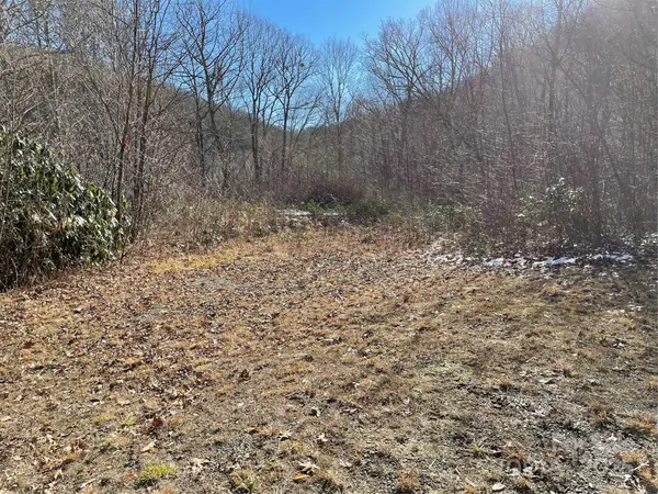 0 Deep Gap View #51, Whittier, NC 28789