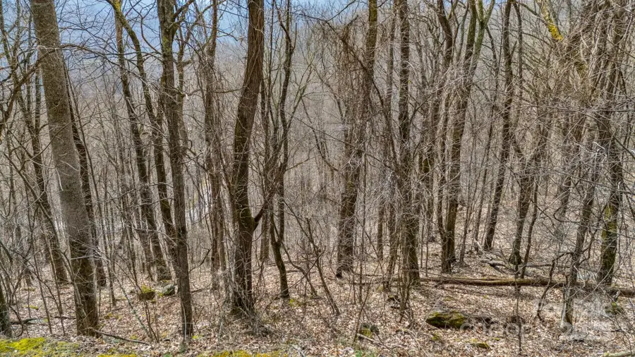 TBD Live Oak Loop #28, Waynesville, NC 28785 - Image #3