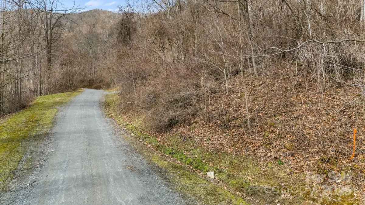 TBD Live Oak Loop #64, Waynesville, NC 28785 - Image #1