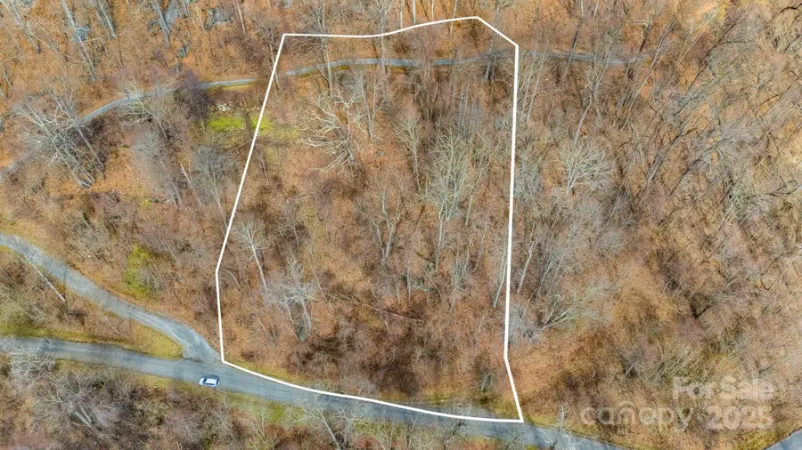 TBD Live Oak Loop #64, Waynesville, NC 28785 - Image #3