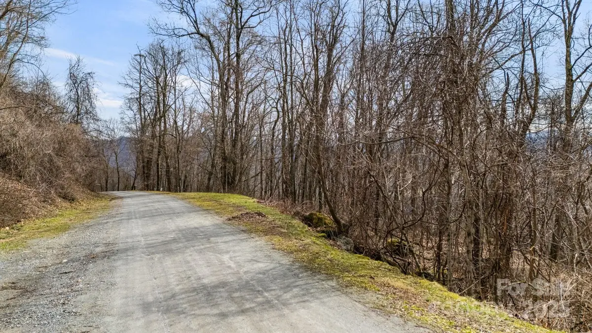 TBD Live Oak Loop #65, Waynesville, NC 28785 - Image #1