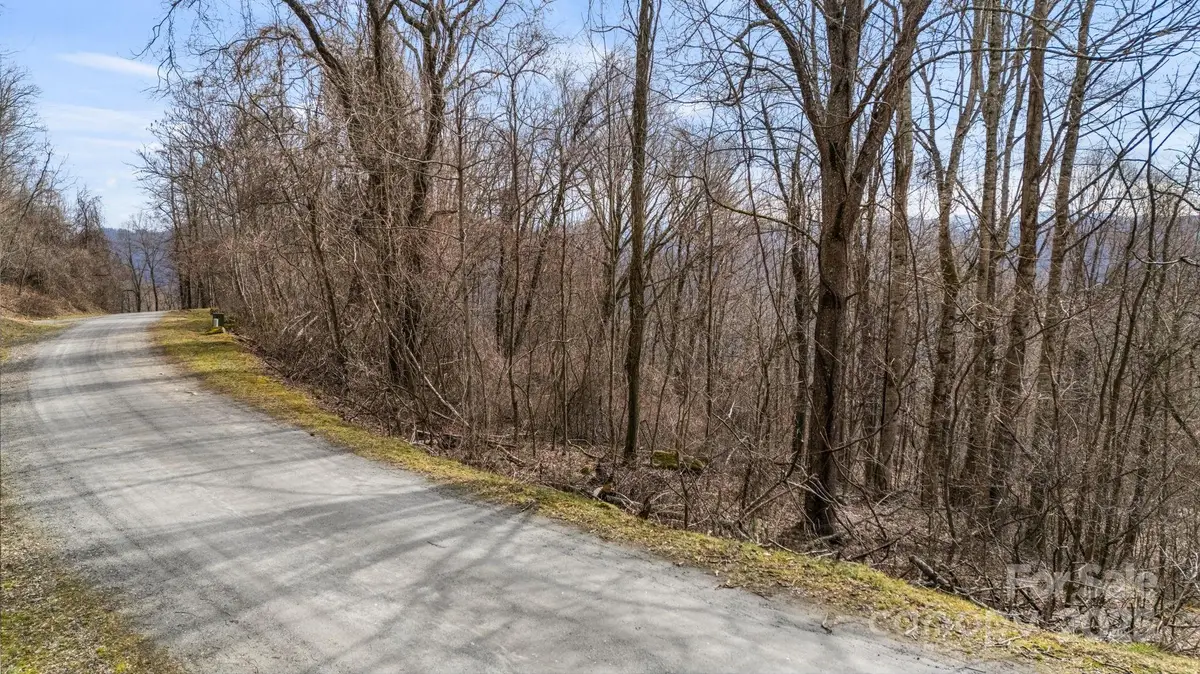TBD Live Oak Loop #67, Waynesville, NC 28785 - Image #1