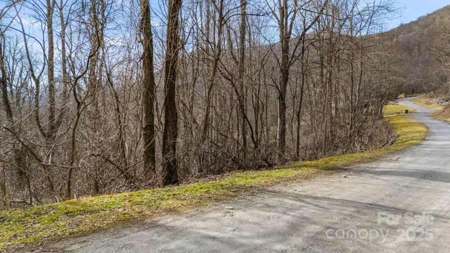 TBD Live Oak Loop #67, Waynesville, NC 28785 - Image #3