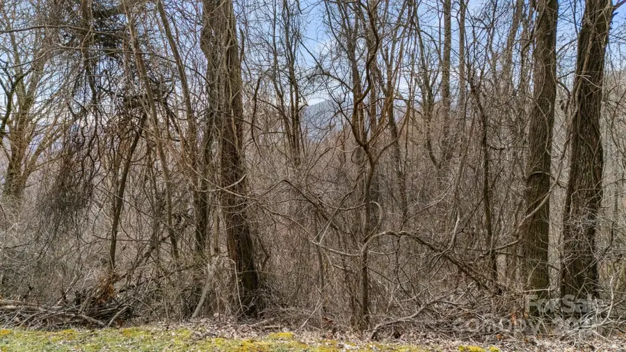 TBD Live Oak Loop #69, Waynesville, NC 28785 - Image #2